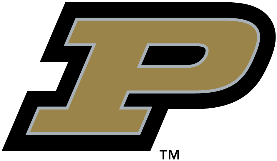 Purdue Boilermakers 1996-2002 Alternate Logo diy DTF decal sticker